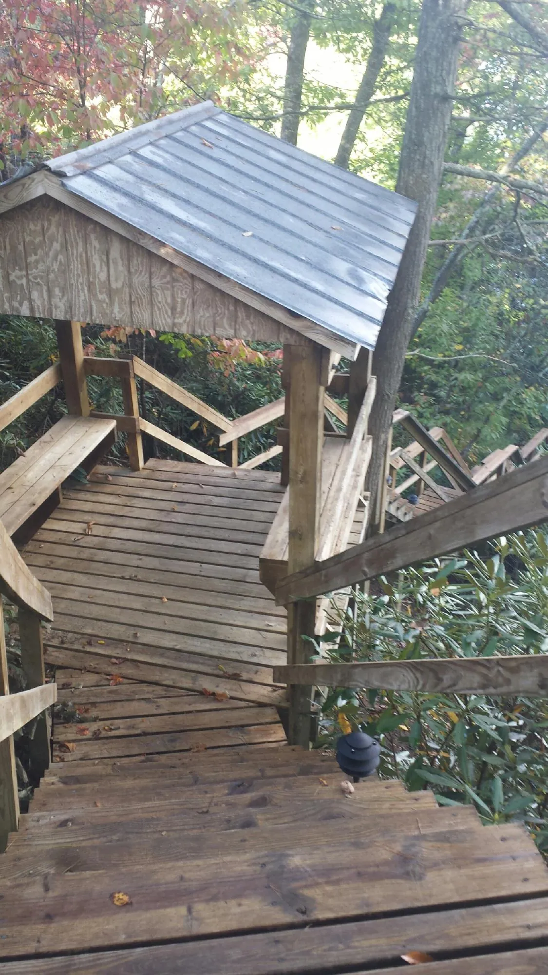 Metal roofed shelter over wooden steps on a wooded walkway — Skylight Repair & Installation work by our crew in Santa Rosa