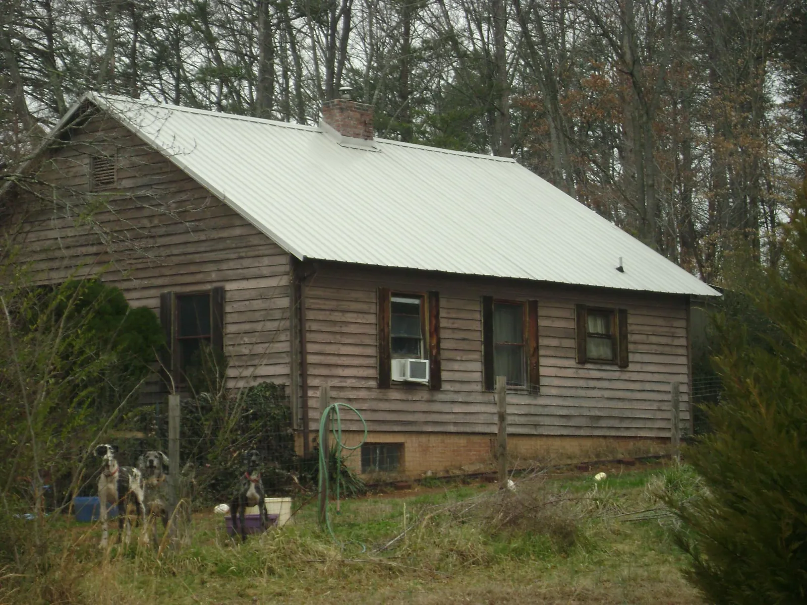 White metal roof on an old wood sided farmhouse, from a Asphalt Shingle Roof Repair job in Santa Rosa